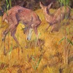 Franz Marc - Rehe im Schilf